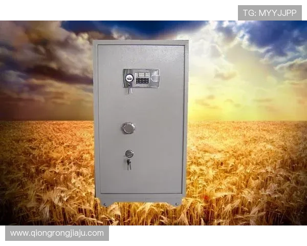 凯发k8官方网站登录安全措施升级，保障玩家个人信息与资金安全