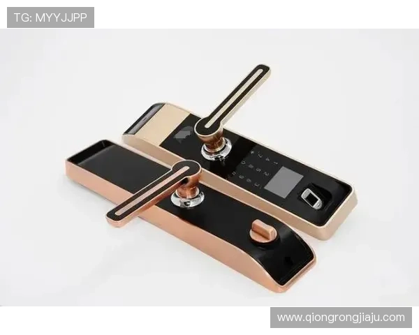 K8利来如何保障玩家资金安全与隐私保护措施详解