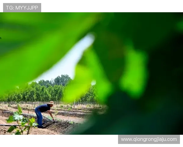 凯发直播加强内容监管,营造健康绿色的直播环境保障用户权益 凯发直播加强内容监管,营造健康绿色的直播环境保障用户权益