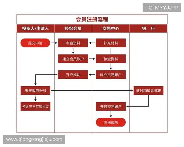 凯发集团会员注册流程中的关键环节及操作技巧全面介绍